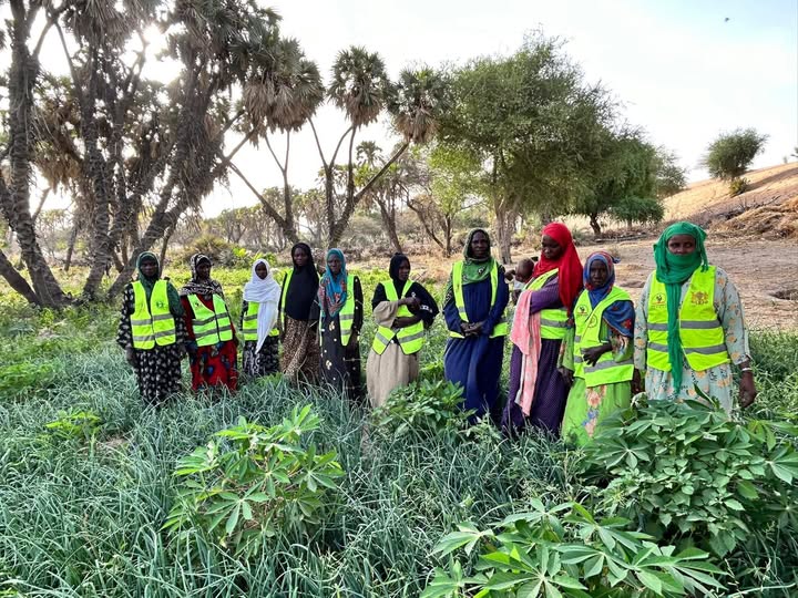 ONG SAHKAL accompagne les femmes vers l’autonomie grâce aux cultures maraîchères